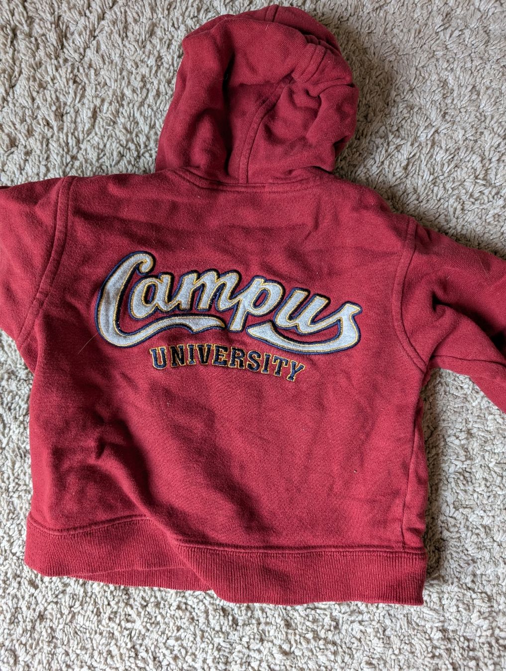Pullover & Sweatshirts: Pulli, Kapuzenjäggli, Gr. 68 – Gebraucht aus Winterthur von voan 1