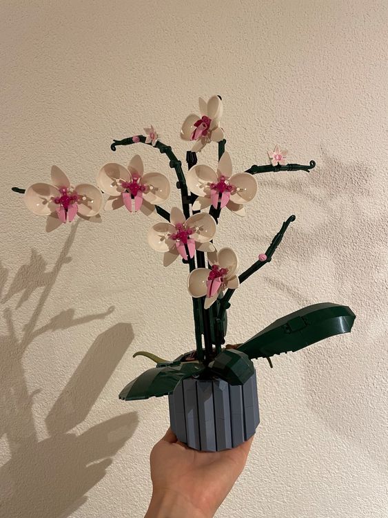 LEGO Botanical Orchidea