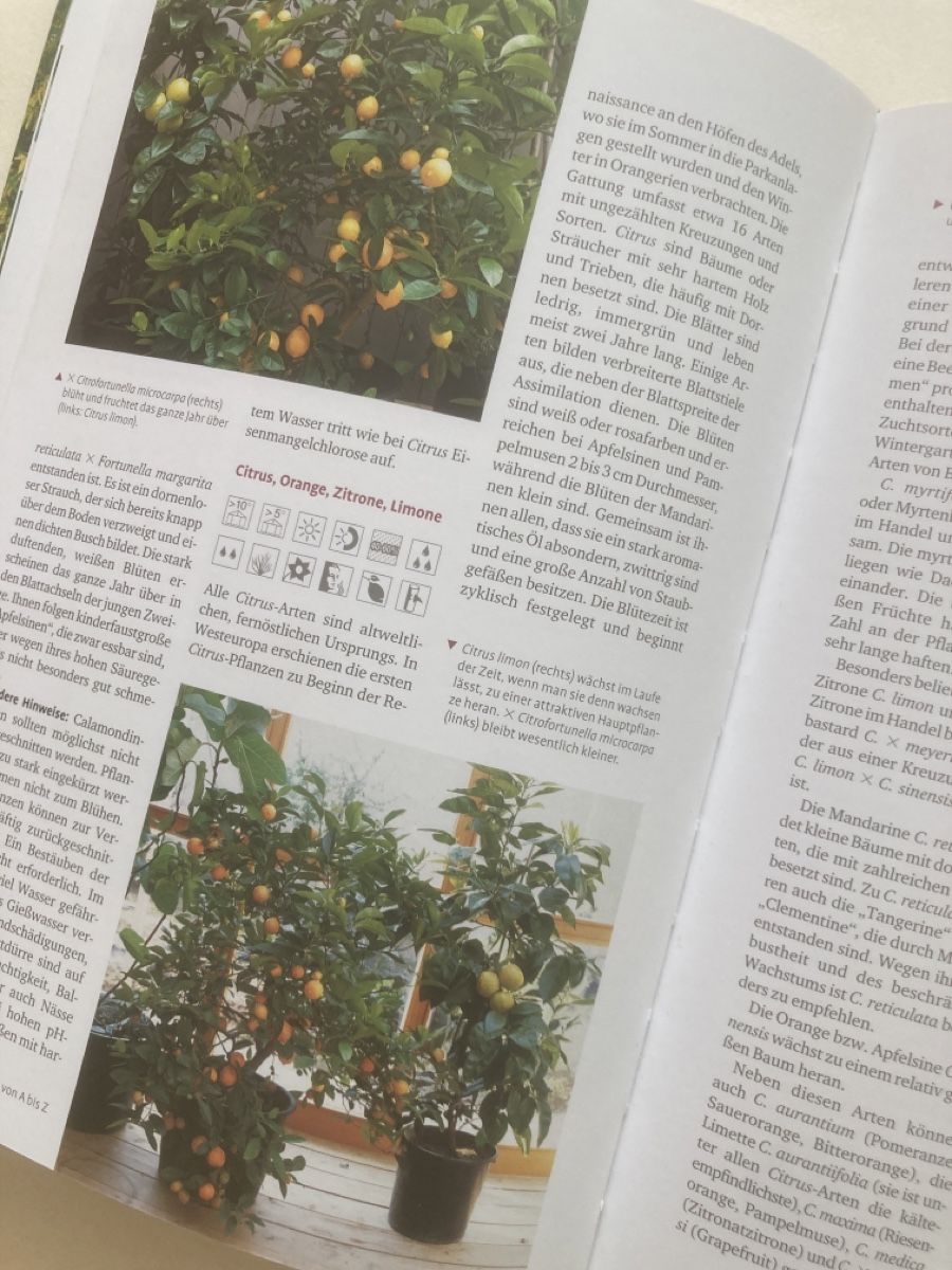 Bücher: Pflanzen für den Wintergarten – Gebraucht aus Zürich von 000rk 2
