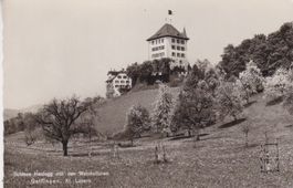 Gelfingen (Luz.) Schloss Heidegg mit den Weinkulturen.