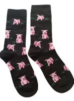 Socken Schweine / Pigs