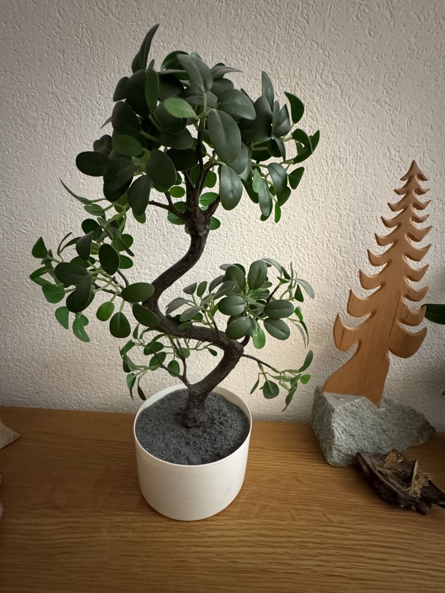 Ikea Tutte le decorazioni: Bonsai künstlich – Usato da Zürich venduto da Naniiin