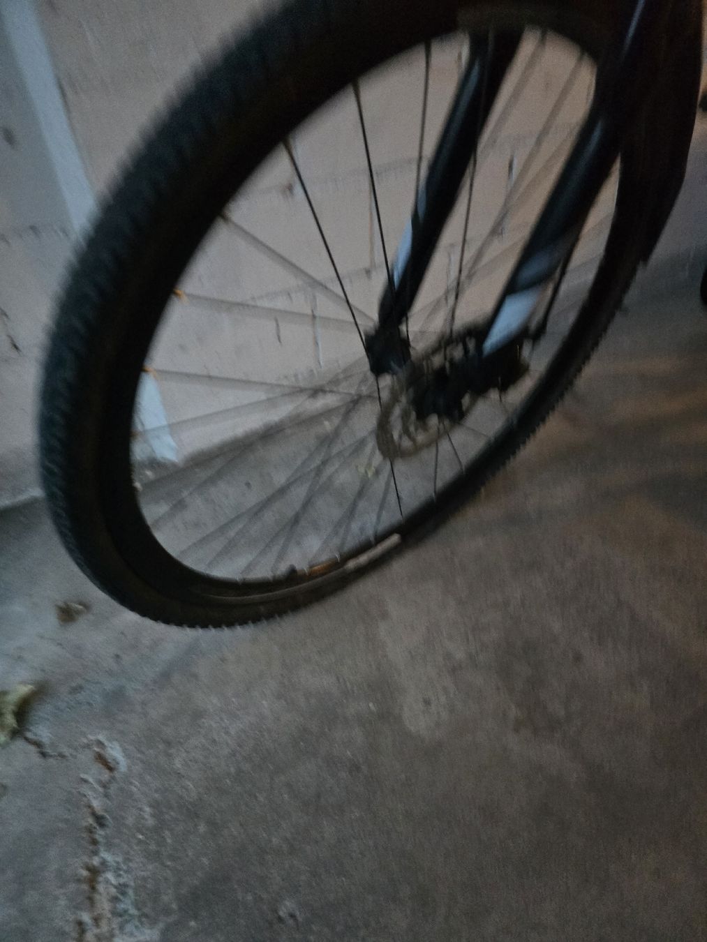 Velos: Fahrrad Focus – Gebraucht aus Kreuzlingen von yugiohcardmarket 3