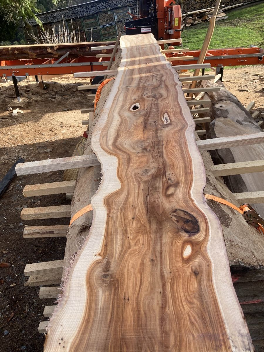 Articles en bois: Eibe klotzbretter – Neuf avec emballage d'origine à Wald AR par Mark92 5