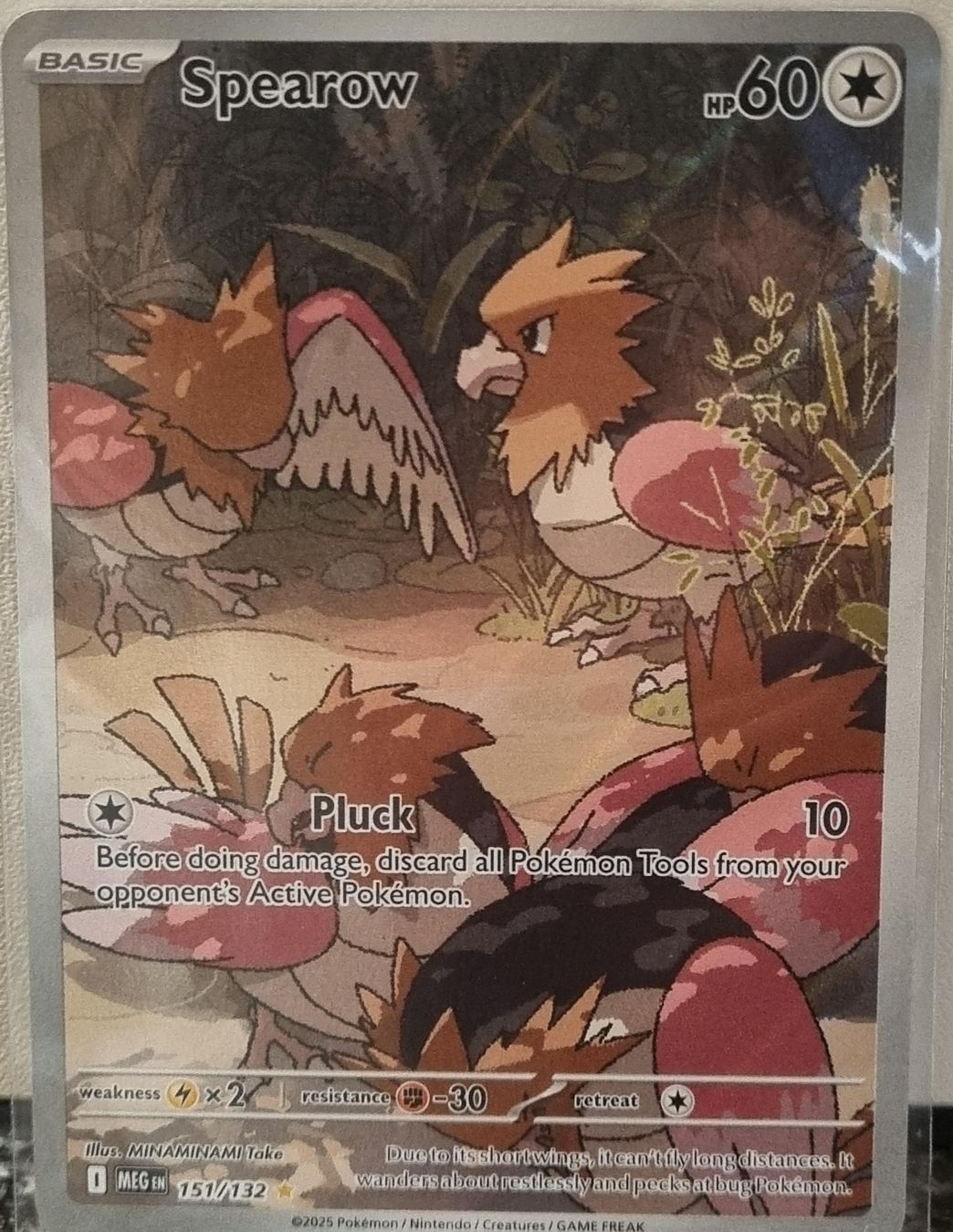 Pokémon Sammelbilder & Trading cards: Pokémon – Spearow 🇺🇸 - MEG-151 - Mega Evolution – Gebraucht aus Bern von NeoSatoshi