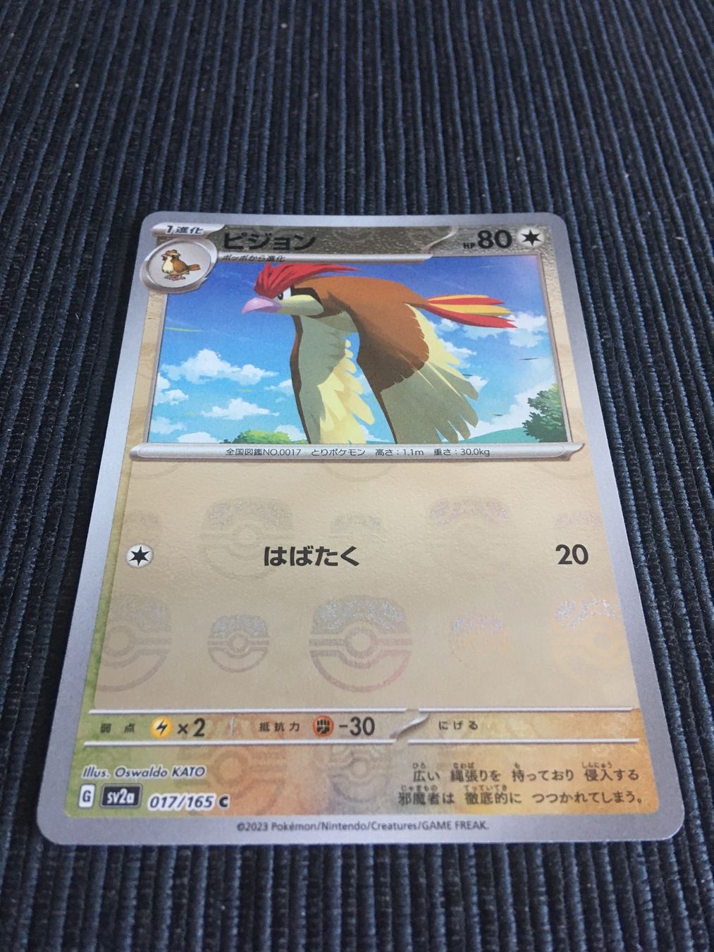 Pokémon Carte collezionabili: Pokemon Sv2a 151 Tauboga Masterball Reverse Japan – Nuovo (secondo la descrizione) da Wabern venduto da Collectfun 1