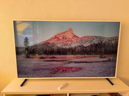 Samsung The Frame 65" (163cm) mit weissem Rahmen, wie neu!