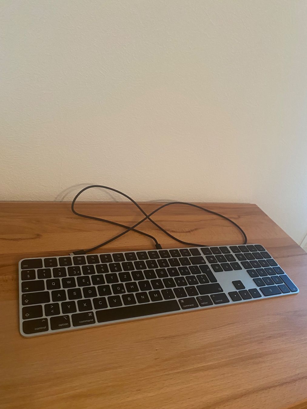 Apple Tastiere: Apple Magic Keyboard Tastatur – Usato da Beckenried venduto da and_b729