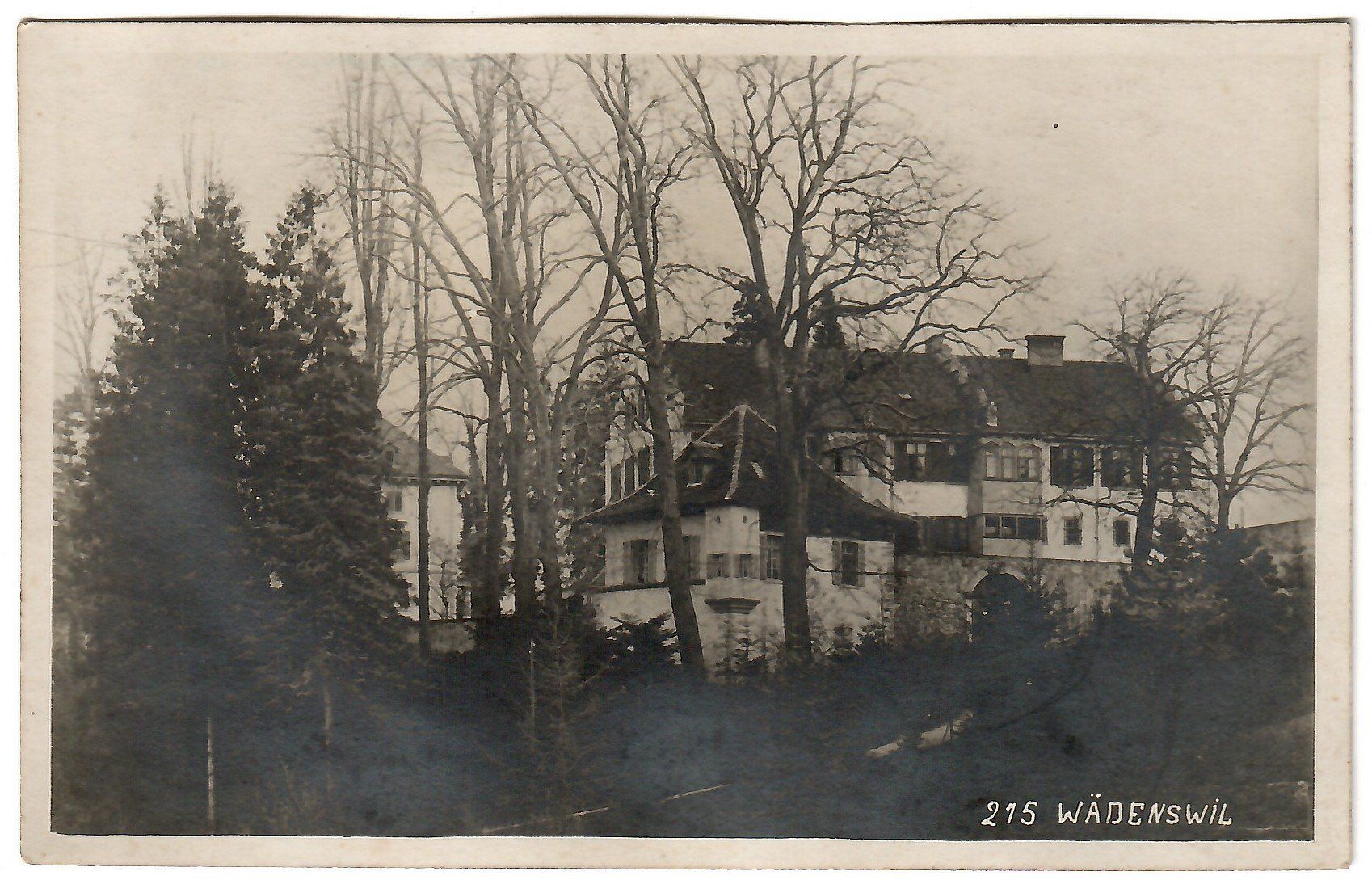 Cartes postales: Ansichtskarte Wädenswil,   Schloss ? – D'occasion à Kerns par etma3