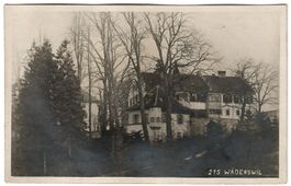 Ansichtskarte Wädenswil,   Schloss ?