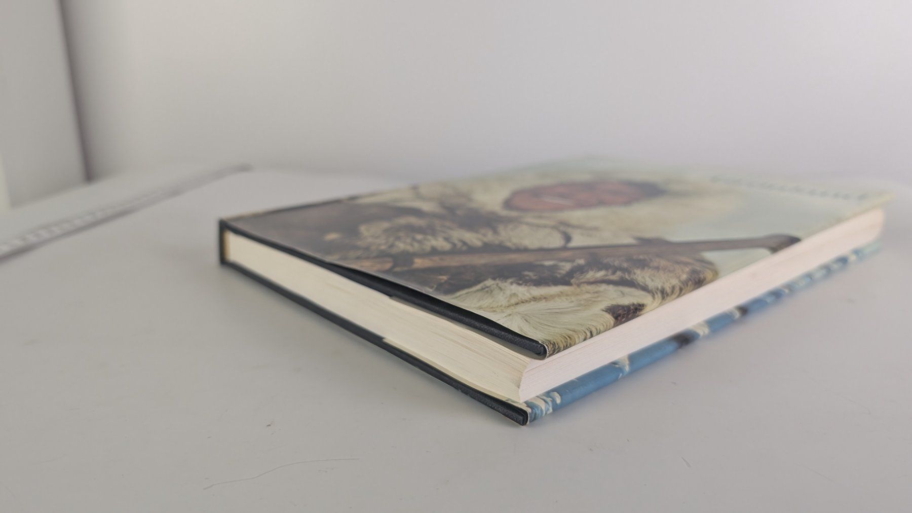 Libri: Grönland – Silva 1967 – Usato da Zürich venduto da axolottchen 3