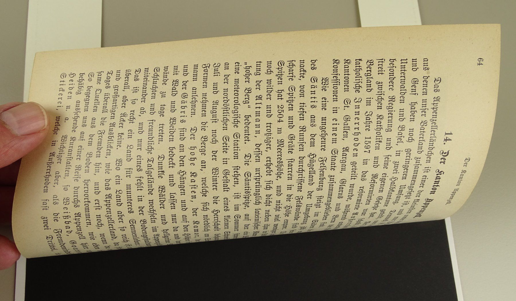 Incisioni: SCHAFFHAUSEN, HOLZSTICH 1892 – Usato da Grüningen venduto da Kartensammler 4