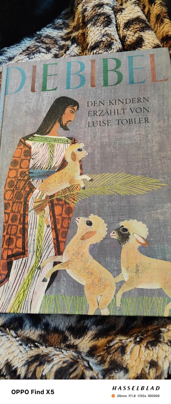 Livres: Kinderbibel – Neuf (Voir description) à Volken par katz5