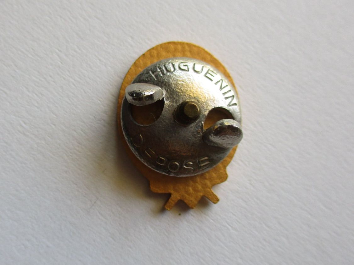 Medaglie: Médaille SAC CAS – Usato da La Sarraz venduto da vic_v6kz 1
