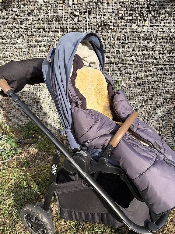 Kinderwagen: Joie Buggy – Gebraucht aus greifensee von alleyhoop 1