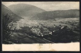 AK Orvin, Teilansicht, 1914