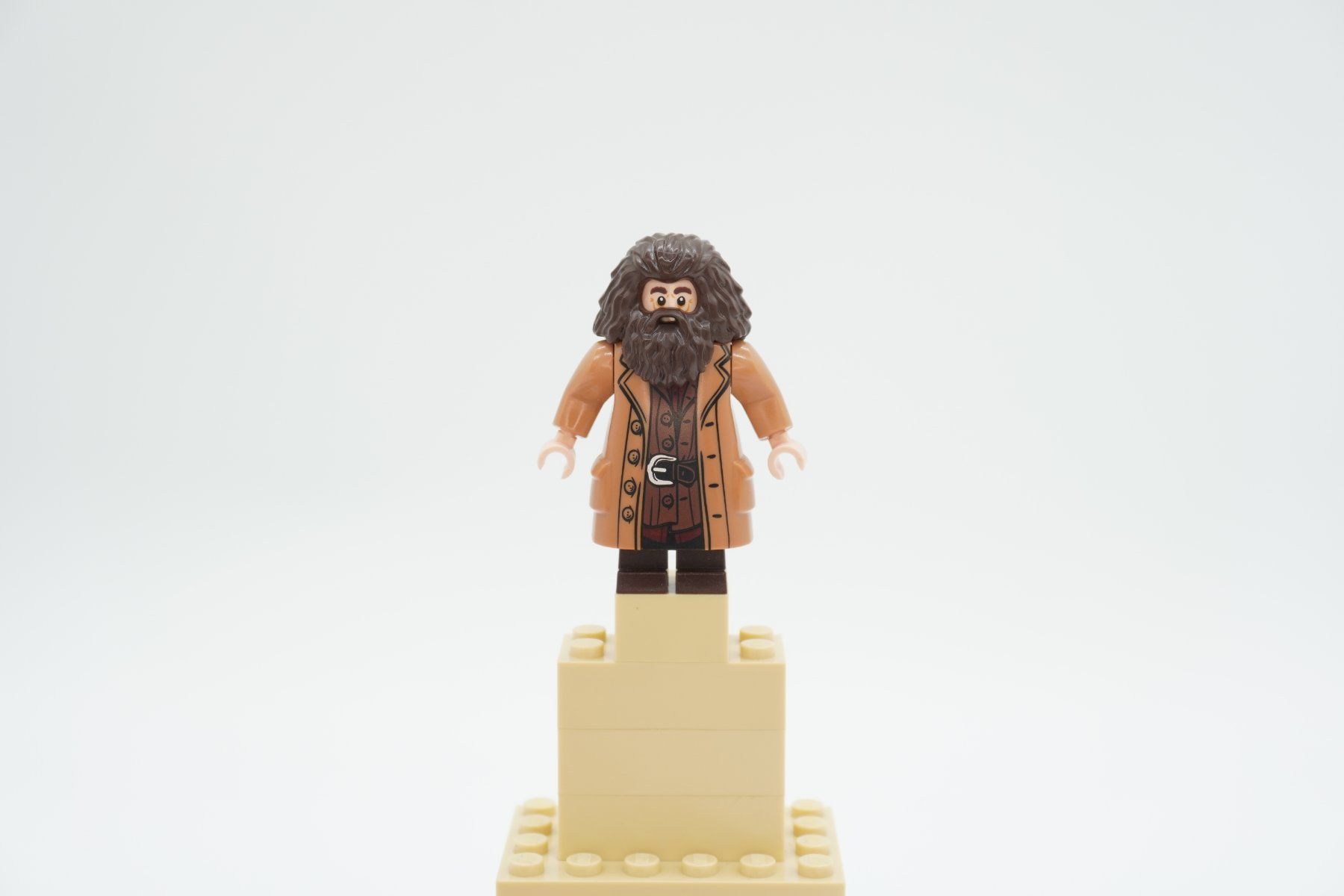 Lego Spielzeuge: Lego Harry Potter Rubeus Hagrid Bundle – Gebraucht aus Zürich von PWGrZ 5