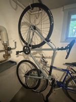 Singlespeed / Fixie 28” mit Scheibenbremse – Top Zustand