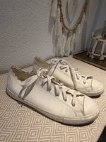 Converse All Star Scallop Gr. 43  CHF 35. VB