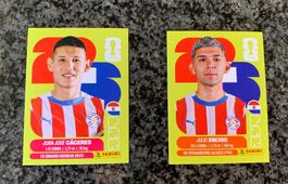 Panini Stickers