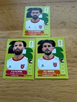 Panini JOR 5,10,14