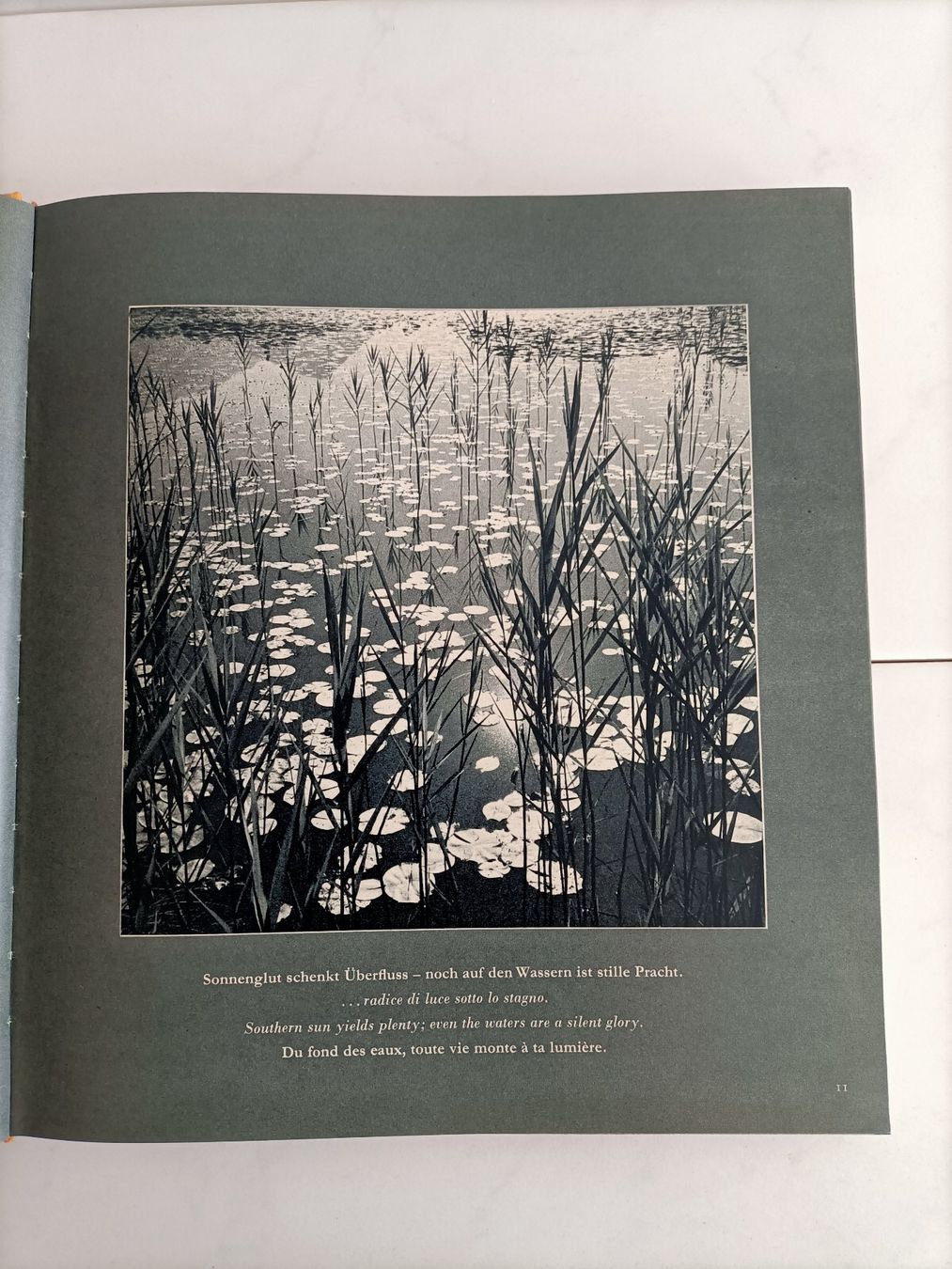 Libri: Terres de soleil - Grisons - Tessin - Valais / F.A. Roedelbe – Usato da crans montana venduto da AB3963 2