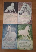 Wolkenherz Buchreihe 4 Bände Sabine Giebken 