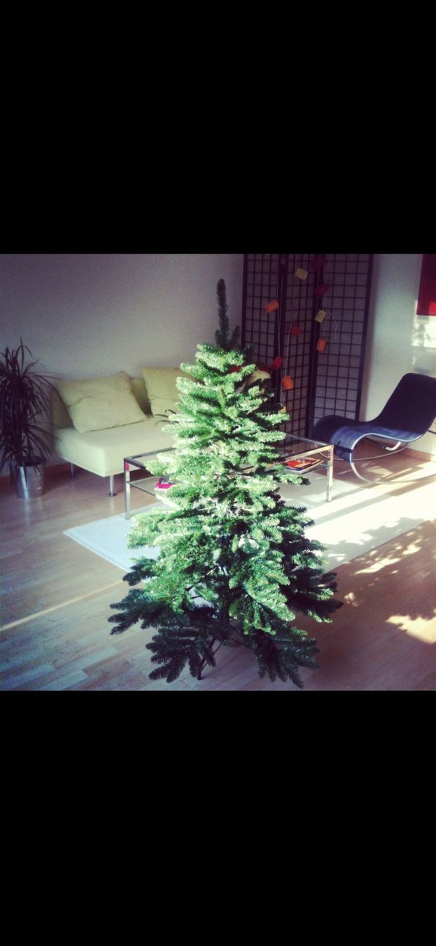 Alle Dekorationen: Künstlicher Weihnachtsbaum – Gebraucht aus Zürich von Hugivida 1