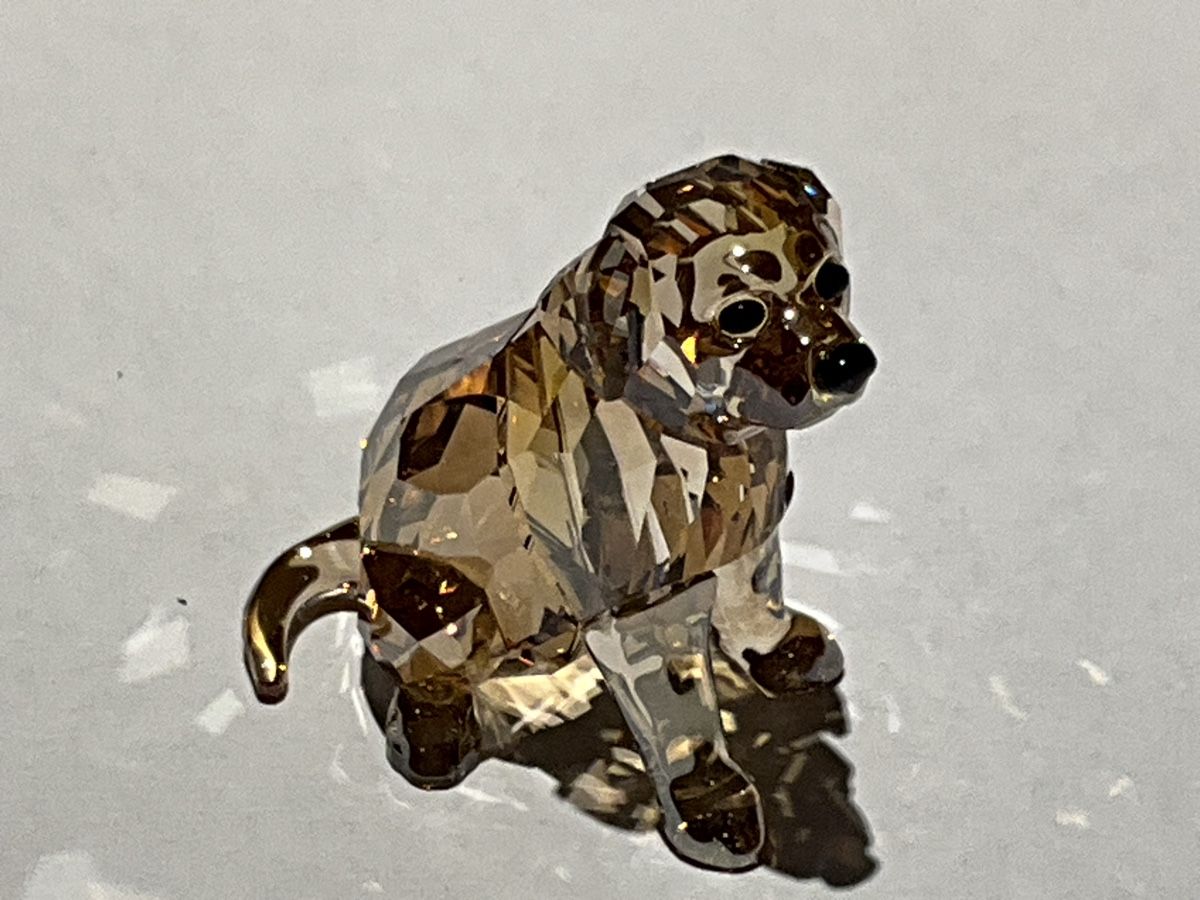 Swarovski Figuren: Swarovski Goldene Retriever  – Neu (gemäss Beschreibung) aus Oberglatt ZH von Multimix