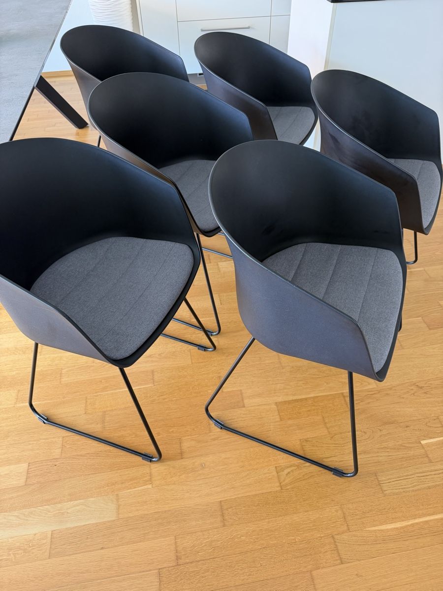 Micasa Sedie: Micasa Stühle 6X Top Zustand – Usato da Ibach venduto da gna_688q 3