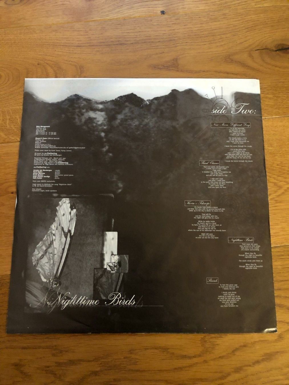 Dischi in vinile: The Gathering - Nighttime Birds – Usato da Liebefeld venduto da type013 4