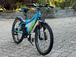 Kinderfahrrad Bergamont Team 20“