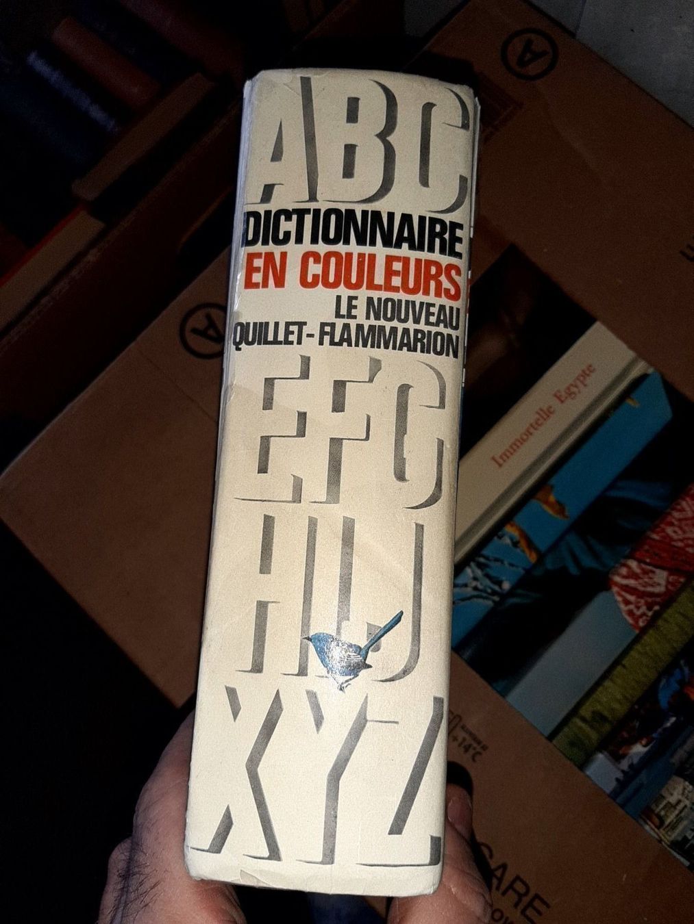 Libri: dictionnaire en couleurs – Usato da Le locle venduto da juliensaran 1