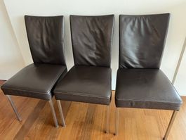 Esszimmerstühle Echtleder 6 Stk. - top Zustand