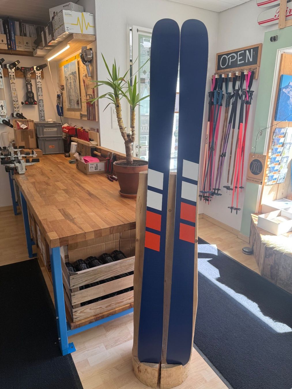 Sci: Candide Skis Resort101 173cm – Nuovo e nell'imballaggio originale da Andermatt venduto da Made_In_Andermatt 3