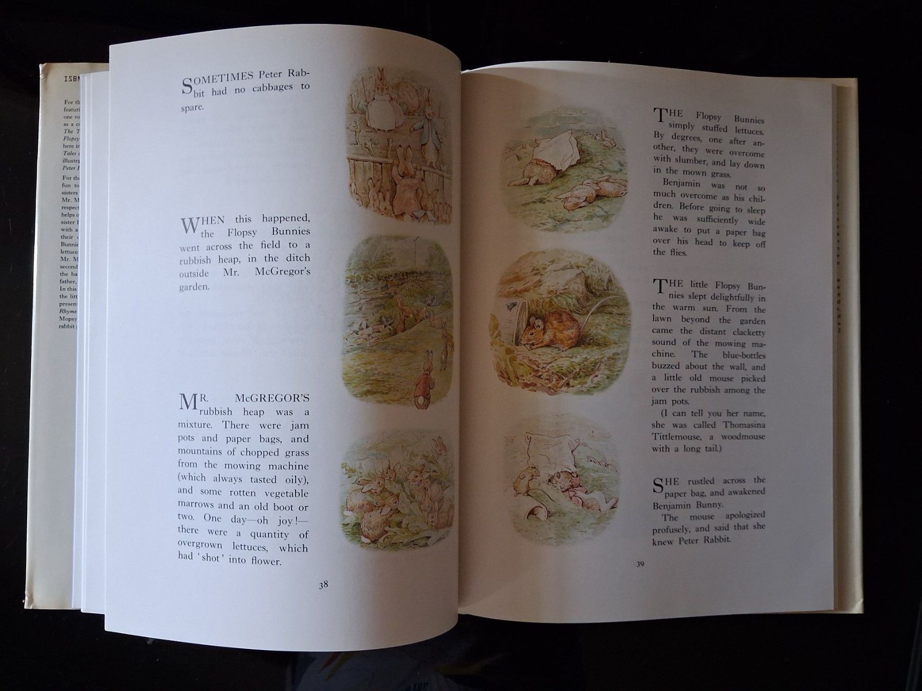 Livres: Peter Rabbit Beatrix Potter, Complete adventures - 1987 – D'occasion à Cartigny par pgc_fk9s 5