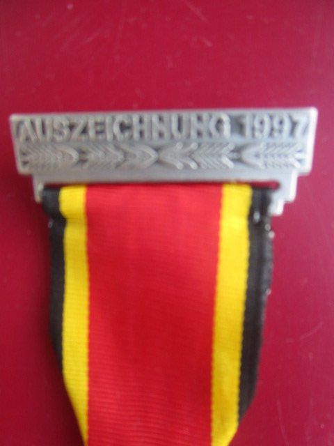 Medaglie: Feldschlösschen Stich 1997 - emailliertes Banner Glarus GL – Nuovo (secondo la descrizione) da Luzern venduto da Horoskop1 2