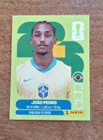 Panini JOÃO PEDRO BRA 16