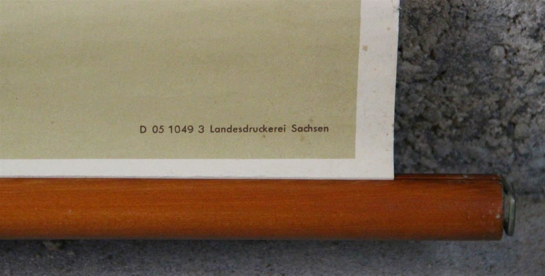Foto & Immagini: Schulwandbild "Lymphgefässe" 200x91 cm – Usato da Birrwil venduto da brandschatz_birrwil 5