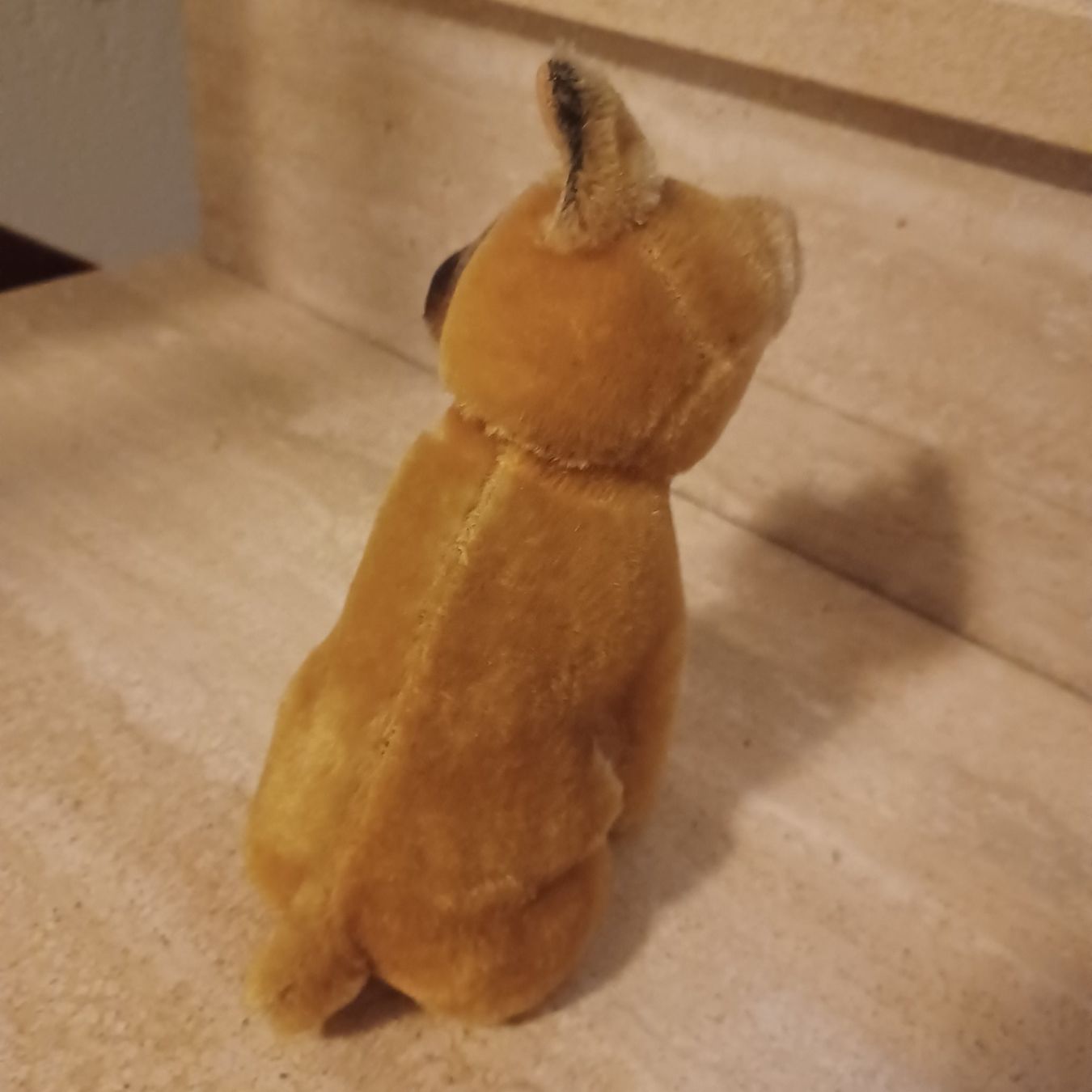 Steiff Spielzeuge: süsser kleiner Boxer von Steiff 14 cm gross – Gebraucht aus Abtwil SG von luupsy 4