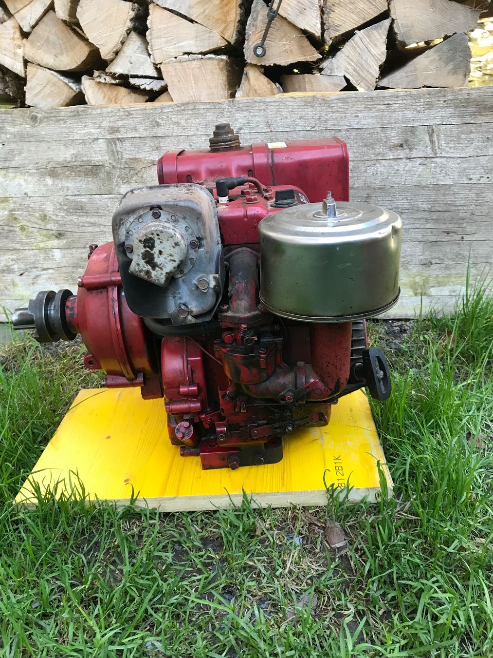 Motori: Benzinmotor Briggs stratton – Usato da Elm venduto da 2084SRB 1