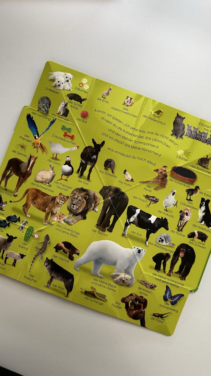 Libri: Such mir! Tiere – Usato da Zürich venduto da KrisZH 3