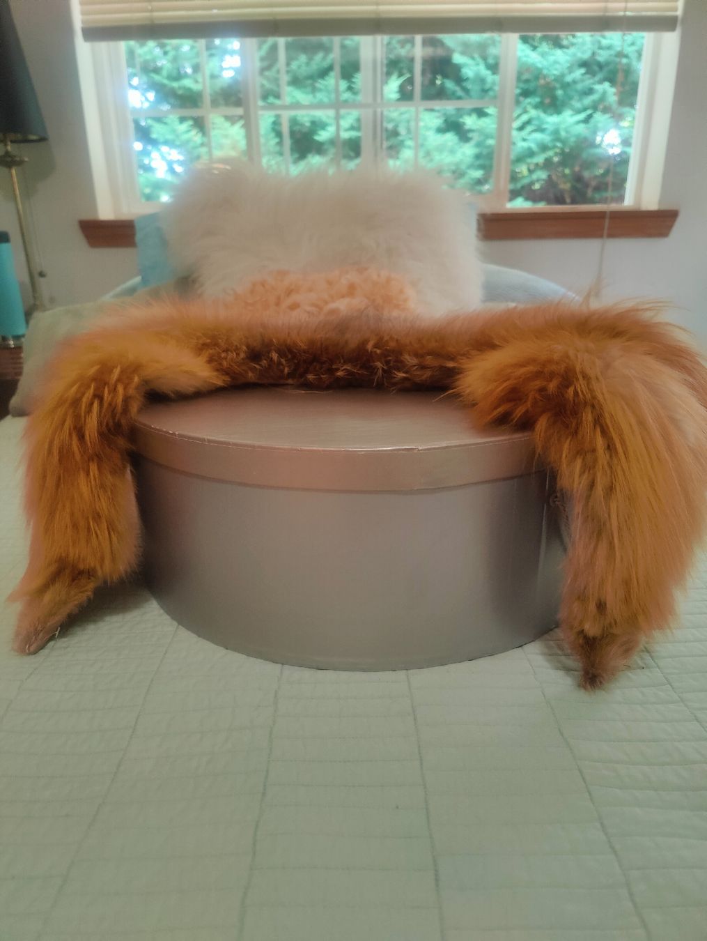 Foulard & Sciarpe: Luxurious Real Fur stole – Usato da Effretikon venduto da wie_p8sj 3