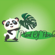 Profile image of Pandaplants