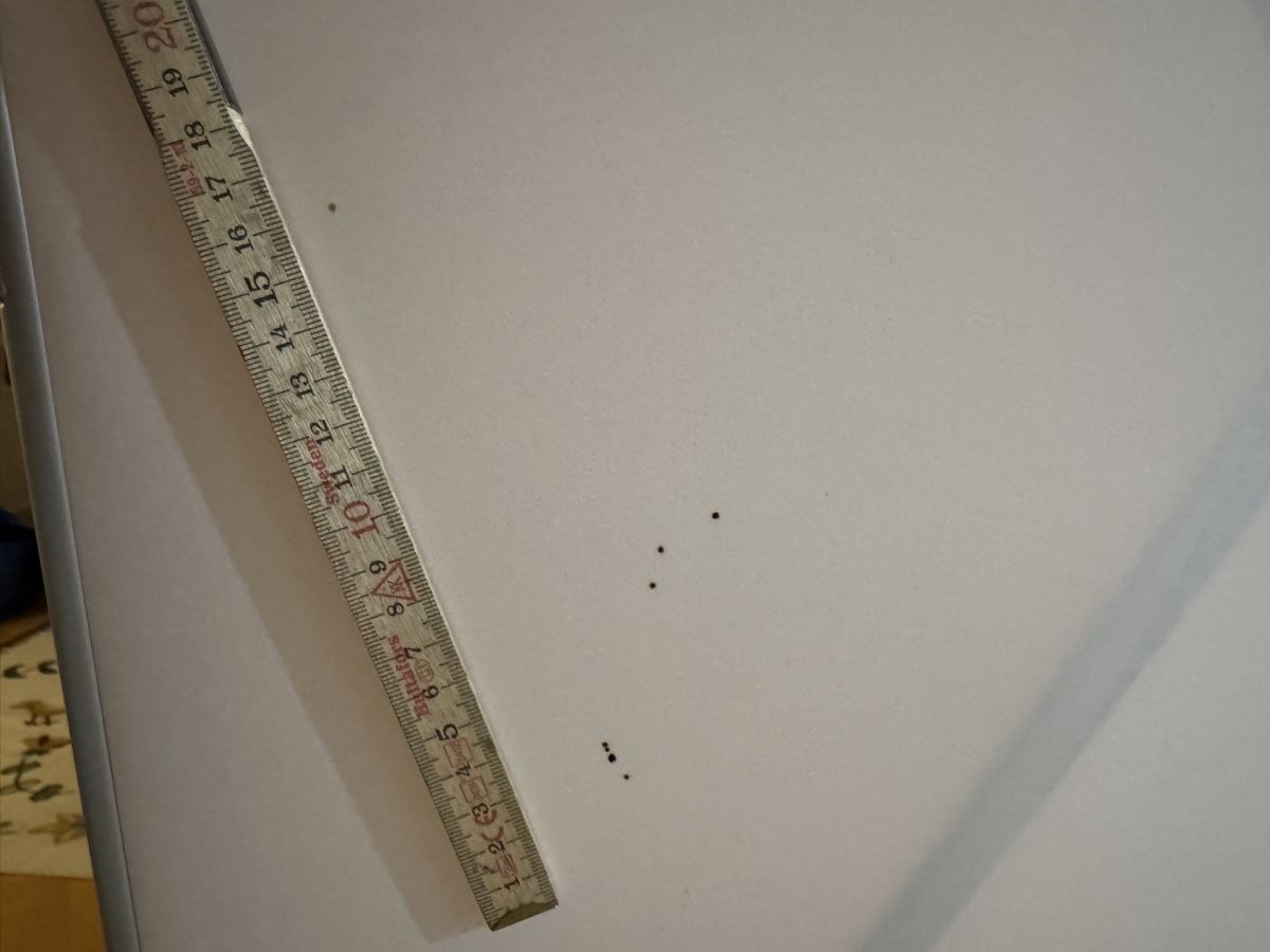 Thut Armadi: Thut Folienschrank – Usato da Bern venduto da goronolza 7