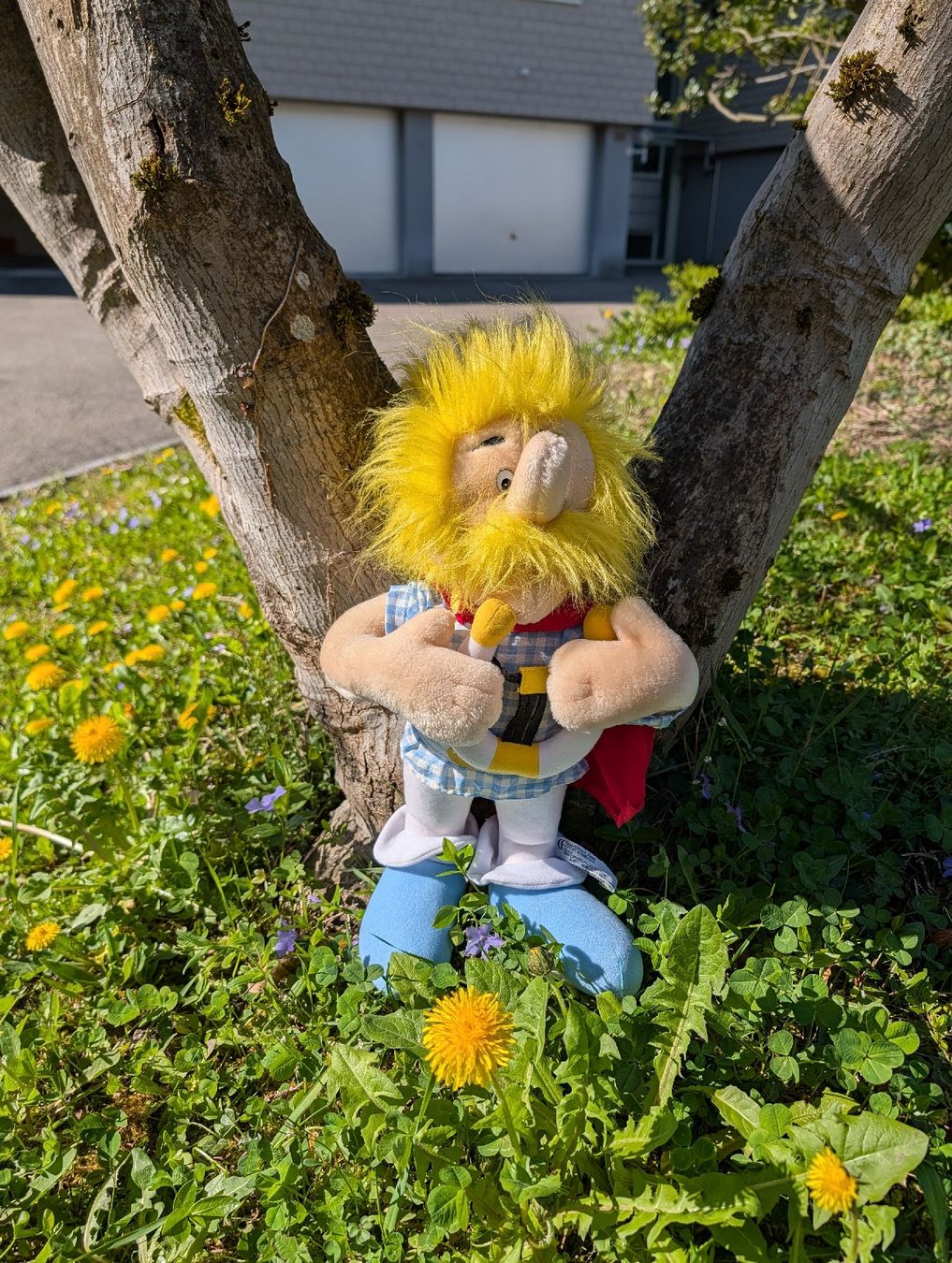 Giocattoli: Grosser Plüsch Troubadix, Comic- Asterix & Obelix – Usato da Nänikon venduto da Haexli_70