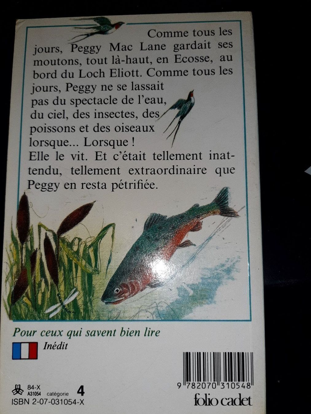 Libri: Au revoir fenimore – Usato da Le locle venduto da juliensaran 2