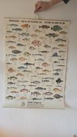 Vintage Poster  Motiv Südsee