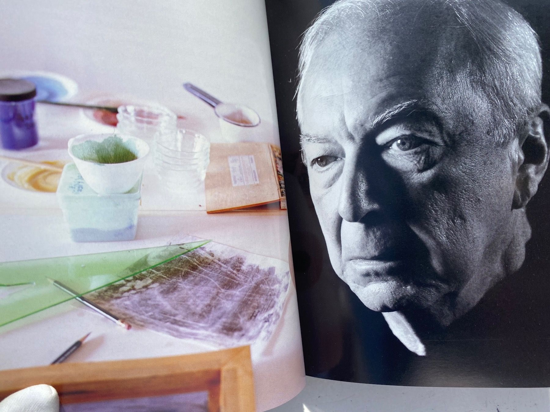 Libri: Jasper JOHNS. Leo CASTELLI. Warhol. Rauschenberg. Pollock – Usato da Zürich venduto da lesgarcons 3