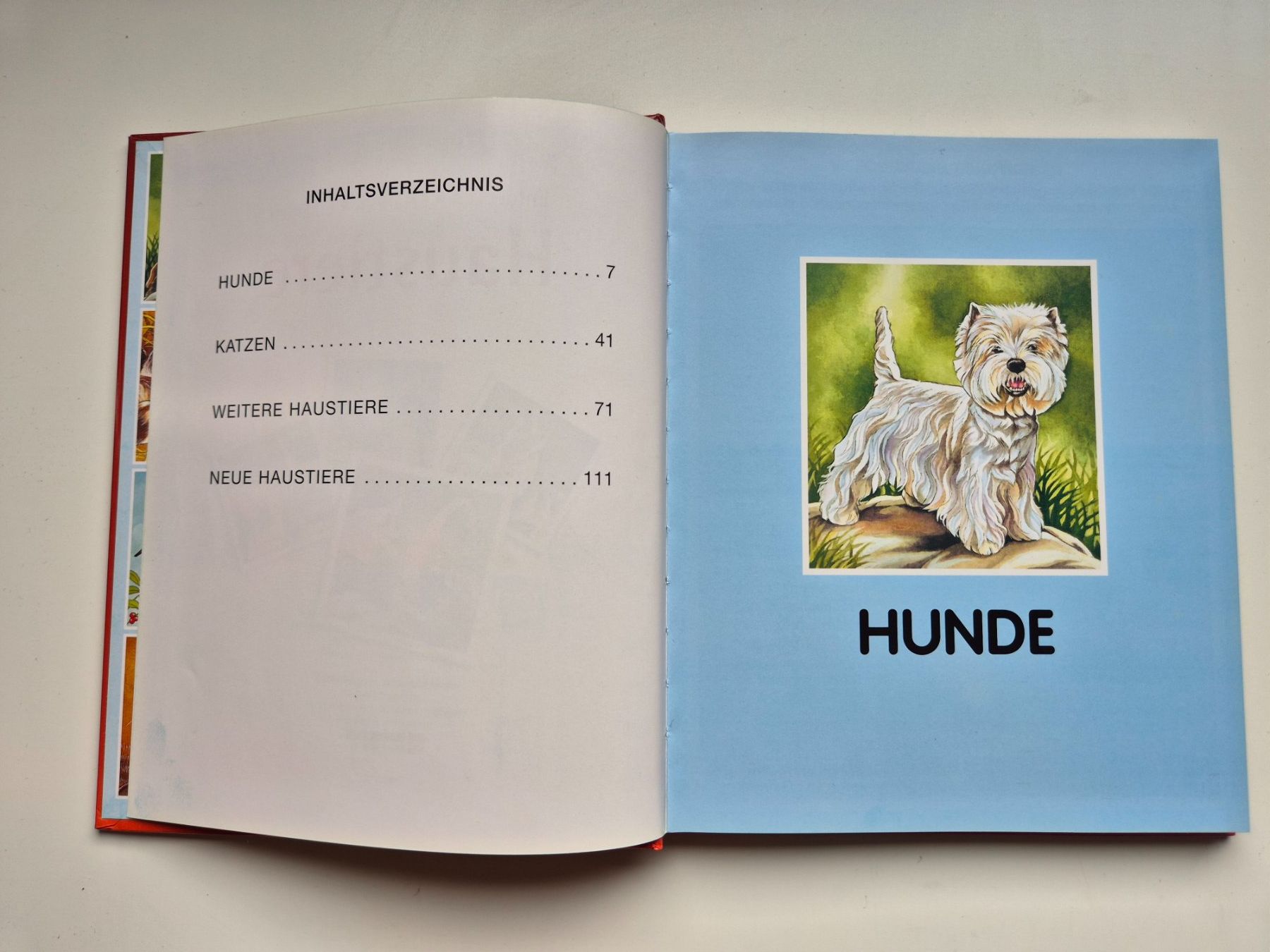 Libri: Entdecken Erfahren Erzählen   HAUSTIERE – Usato da Niederweningen venduto da Obson 1